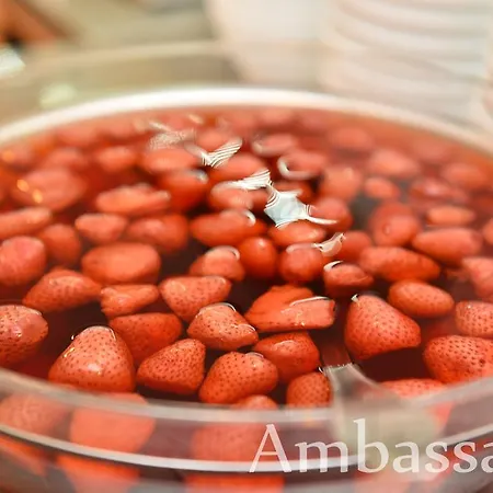 فندق Ambassador 3*